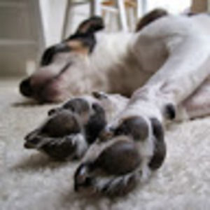 Meet your Posher, Mae